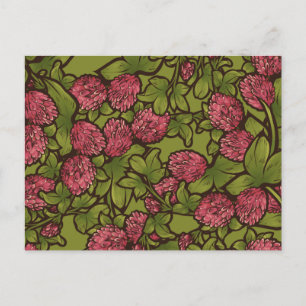 Red Clover Flower Spring Pattern Postcard
