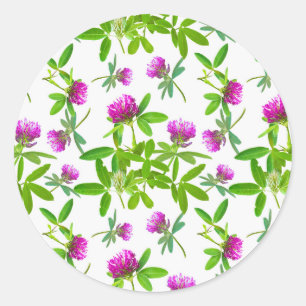 Red Clovers with Green Leaves Classic Round Sticker