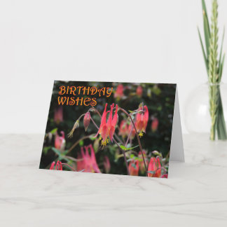 Red Columbine Birthday Card