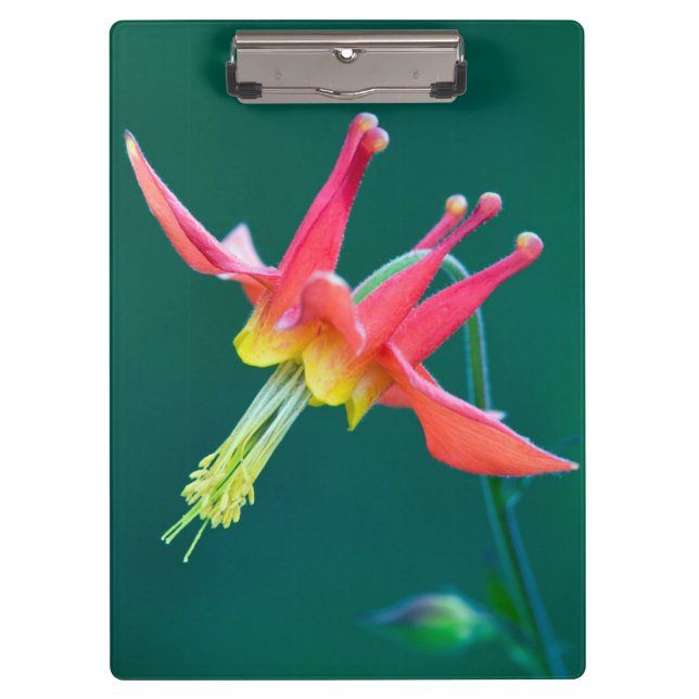 Red Columbine Clipboard (Front)