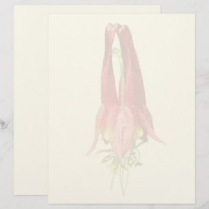 Red Columbine Flower Custom Letterhead