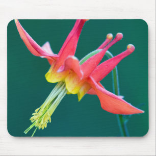 Red Columbine Mouse Pad