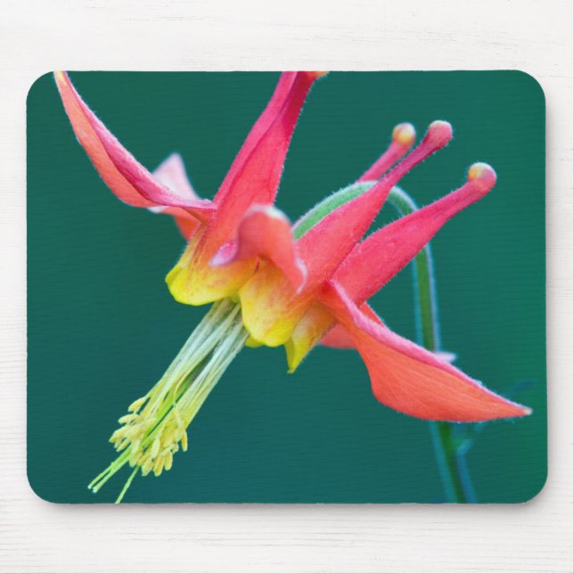 Red Columbine Mouse Pad (Front)