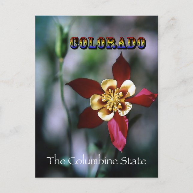 Red Columbine - Vintage Style Postcard (Front)