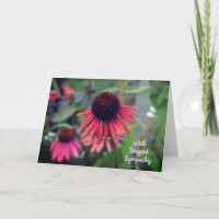 Red Cone Flowers Echinacea With Sympathy