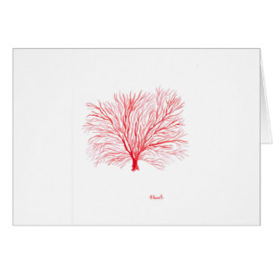 Red coral sealife