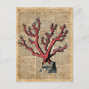 Red Coral Vintage Illustration Dictionary Art Postcard