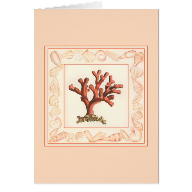 Red Coral with Conch Shell Border (Front)