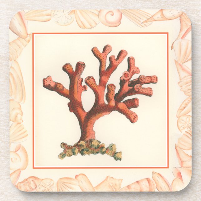Red Coral with Conch Shell Border Coaster (Front)