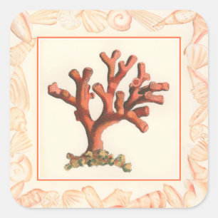 Red Coral with Conch Shell Border Square Sticker