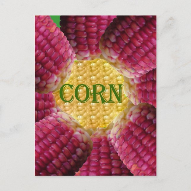 Red Corn Pattern Postcard (Front)