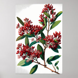 Red Crepe Myrtle Flowers Art Print Poster