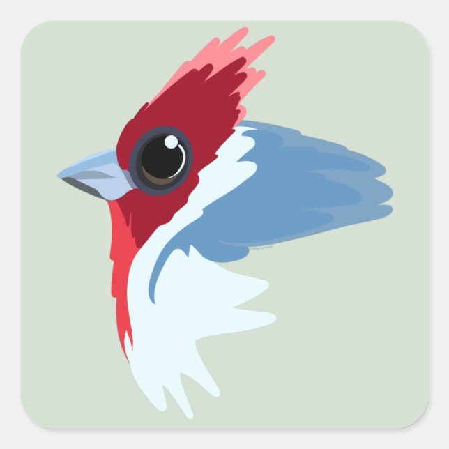 Red-Crested Cardinal Bird Square Sticker (Front)