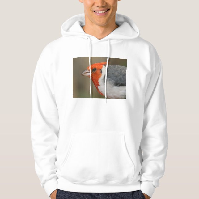 Red Crested Cardinal Hoodie (Front)