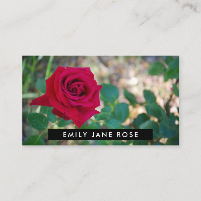 Red Crimson Rose, Floristry Business Card (Front)