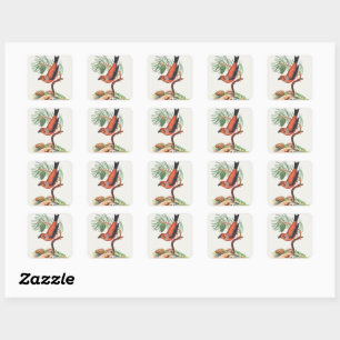 Red Crossbill Bird Square Sticker