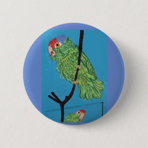 red-crowned parrot perching 6 cm round badge