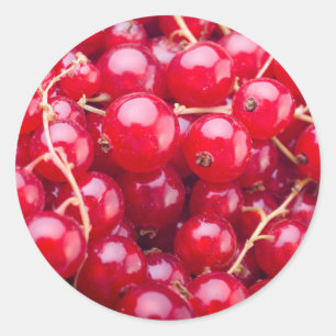 Red Currant Classic Round Sticker