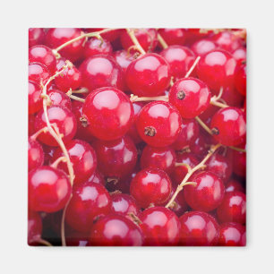 Red Currant Magnet