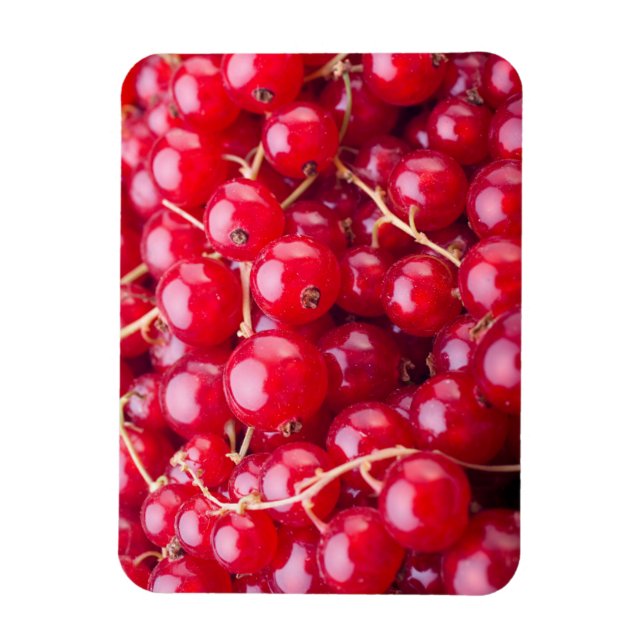 Red Currant Magnet (Vertical)