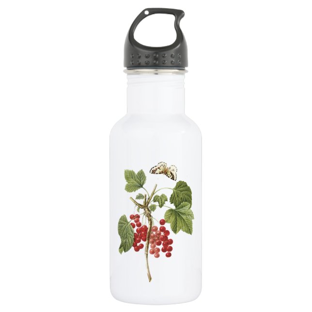 red currant(Ribes rubrum) by Redouté 532 Ml Water Bottle (Front)