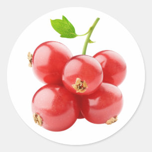 Red currants classic round sticker