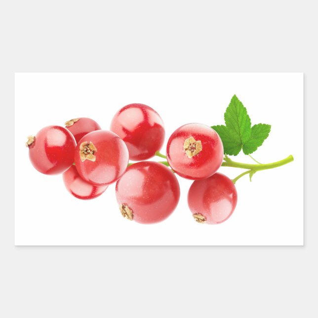 Red currants rectangular sticker (Front)