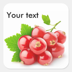 Red currants square sticker