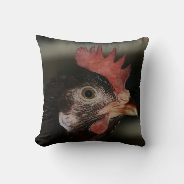 Red Cushion (Front)