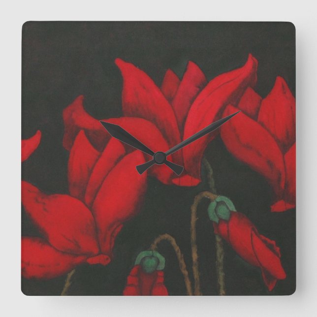 Red Cyclamen blossom on dark black background Square Wall Clock (Front)