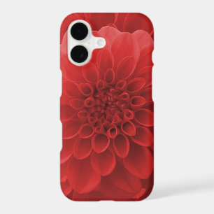 Red Dahlia
