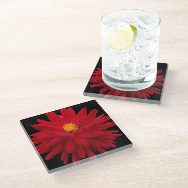Red Dahlia Bloom on Black Floral Glass Coaster (Angled)