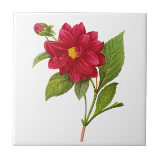 Red Dahlia by Pierre Joseph Redoute Ceramic Tile