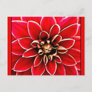 Red Dahlia, digital art Postcard