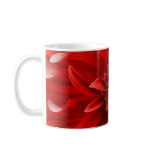 Red dahlia flower