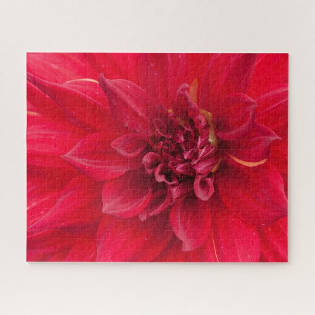 Red Dahlia Flower Jigsaw Puzzle (Horizontal)