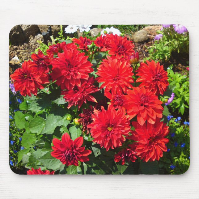 Red Dahlia Flower Mousepad (Front)