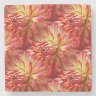 Red Dahlia Flower Nature Art Pattern Stone Coaster