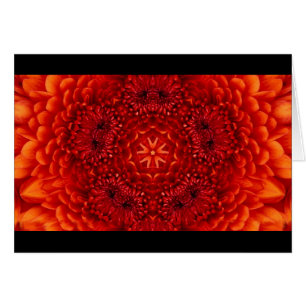 RED DAHLIA FLOWER PETALS