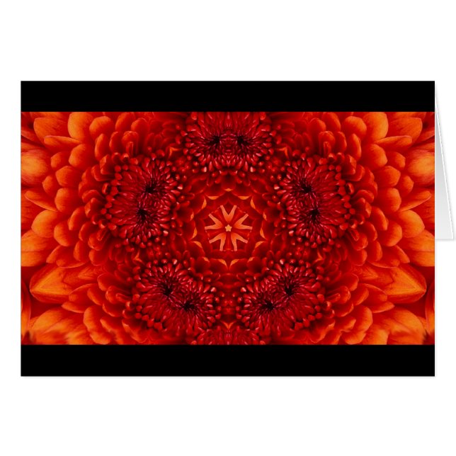 RED DAHLIA FLOWER PETALS (Front Horizontal)