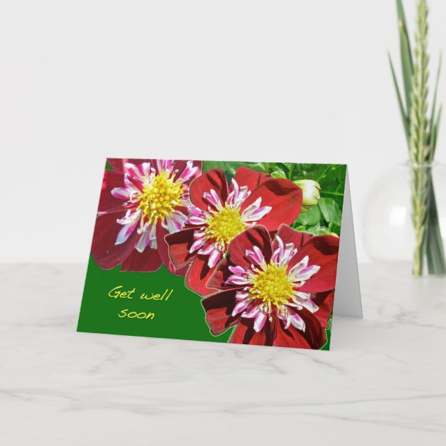 Red Dahlia Get Well Soon Card (Front)