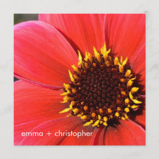 Red Dahlia Invitation