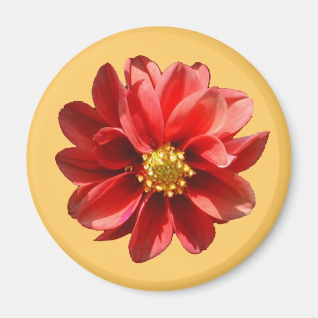Red Dahlia Magnet (Front)