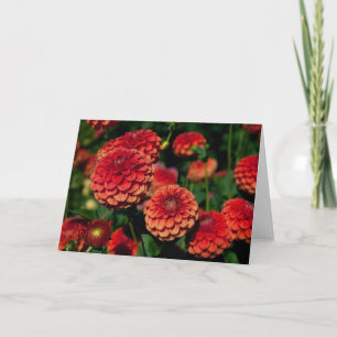 Red Dahlia Note Card