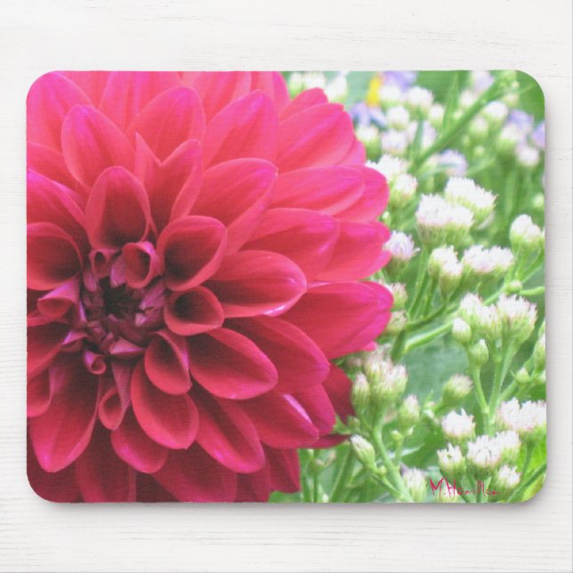 Red Dahlia Photo Mousepads (Front)