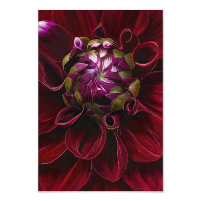 Red Dahlia Photo Print (Front)