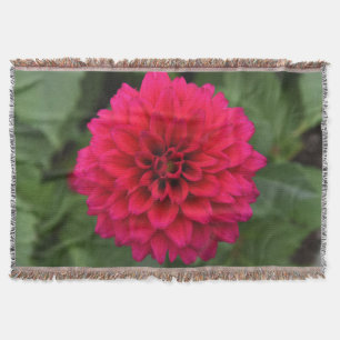 Red Dahlia Throw Blanket