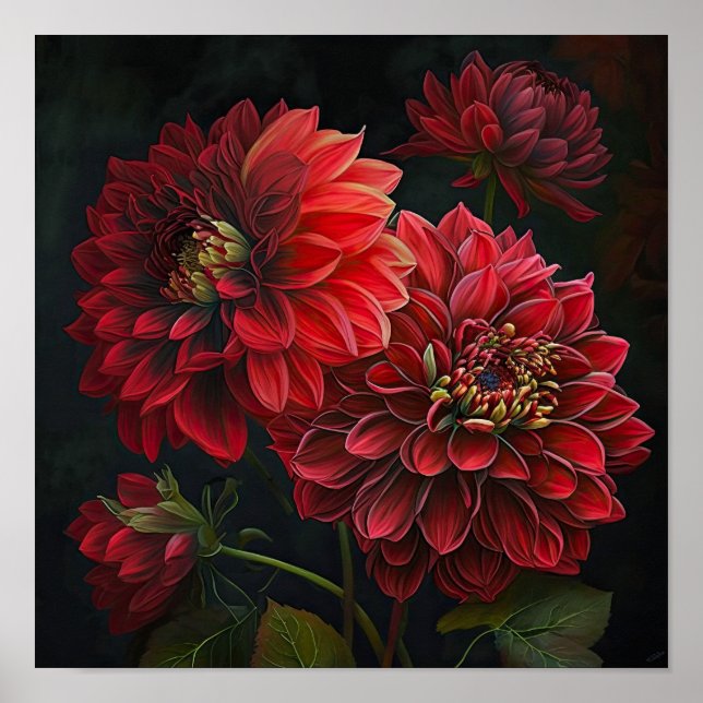 Red Dahlias Flower Art Print Poster (Front)