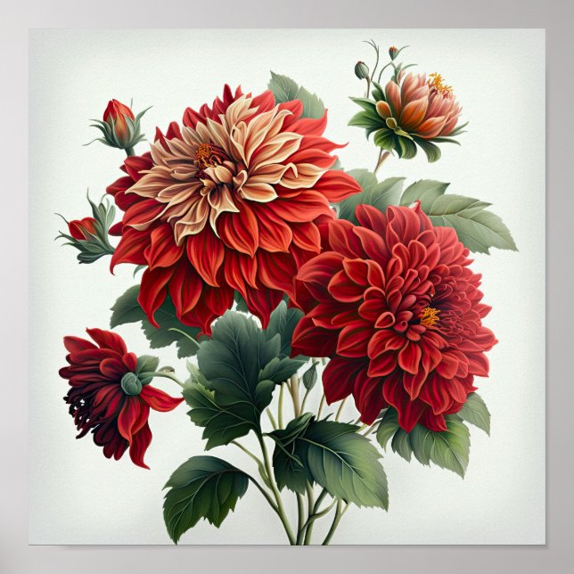 Red Dahlias Flower Art Print Poster (Front)