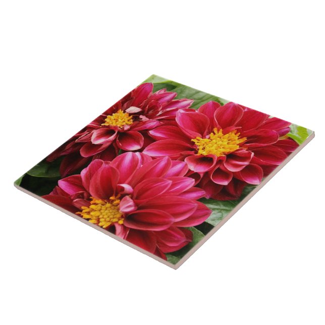 Red Dahlias Tile (Side)